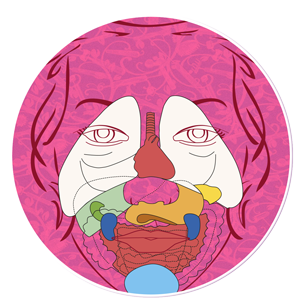 schéma des organes en Dien Chan